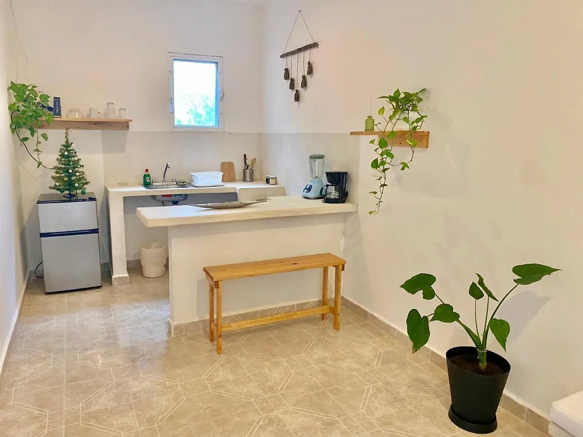 Casa Sabina 4 Cosy Apt With Wifi And Tv Apartment Isla Holbox 0*,